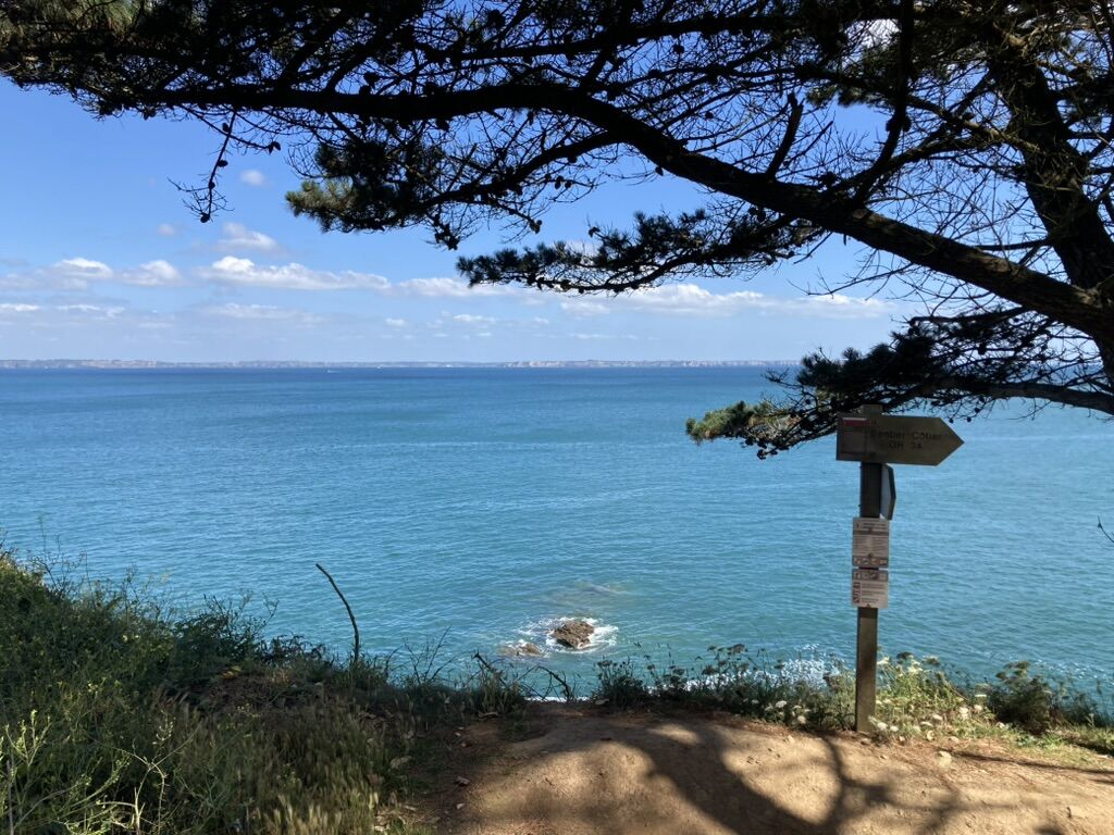Vue sur la mer d'Iroise depuis le sentier, encadrée par les pins