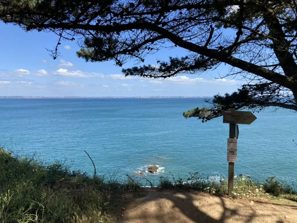 Vue sur la mer d'Iroise depuis le sentier, encadrée par les pins